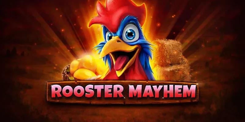 rooster-mayhem